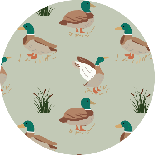 Down South Zippy Duck Romper